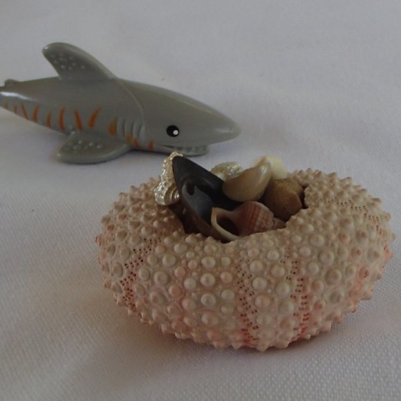 Dollhouse Mini Rare Barbie Mattel Shark 2010 T7018 AND Sea Urchin With Seashells - Picture 10 of 16